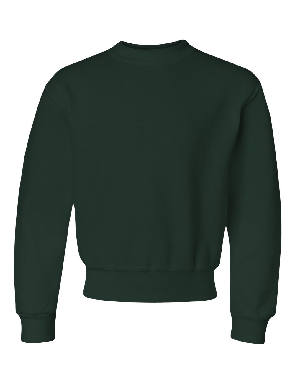 Youth Crewneck Sweatshirt