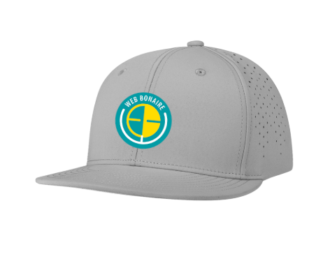 WEB Gray Performance Stretch Snap Back