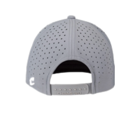 WEB Gray Performance Stretch Snap Back